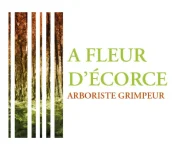 A Fleur Decorce Elagage Ambares Et Lagrave Logo